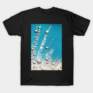 Shooting Star Cactus Blue T-Shirt